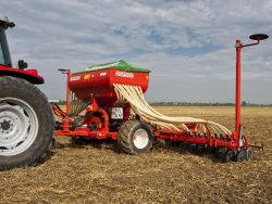In linea per cereali